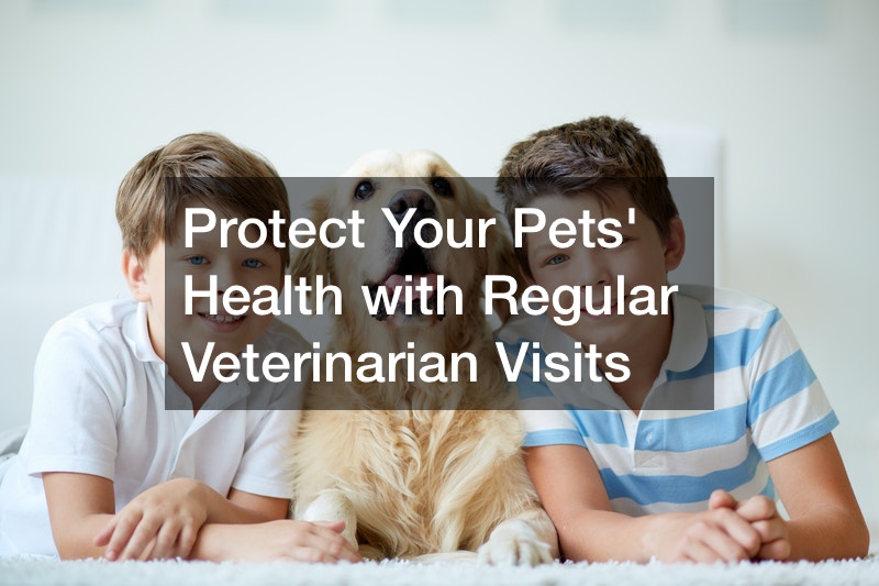 Protect Your Pets Health With Regular Veterinarian Visits Free Pet 