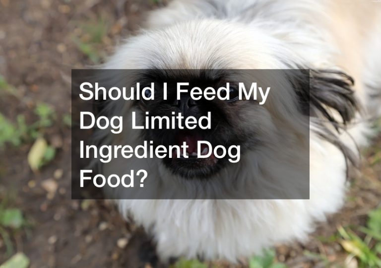 Should I Feed My Dog Limited Ingredient Dog Food? Free Pet Magazine