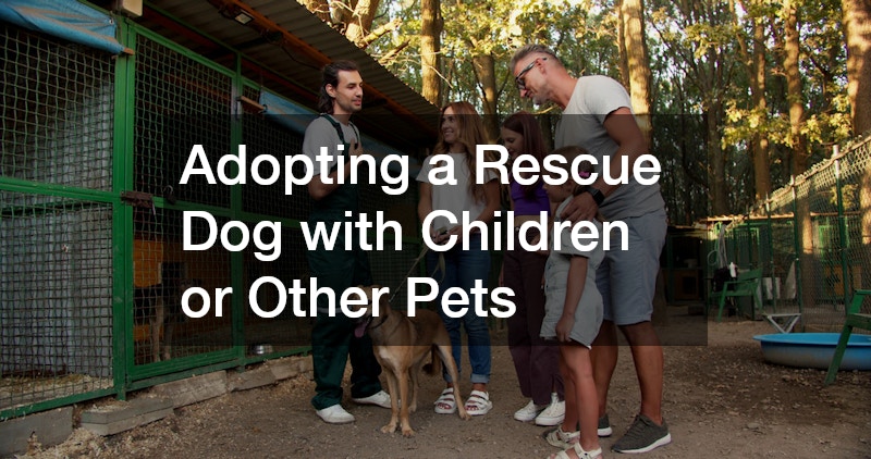 a family in an animal shelter